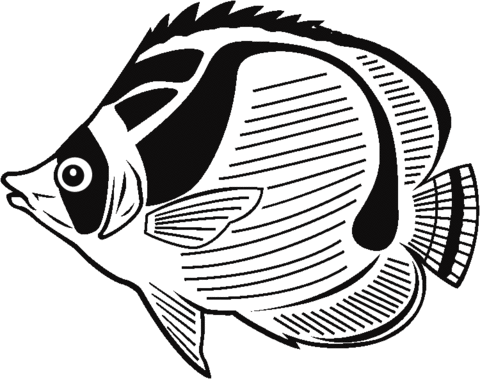 Butterfly Fish Coloring Page